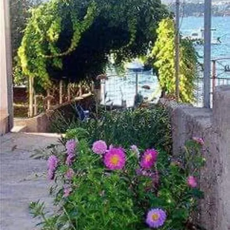 Antonia - 5 M From Sea Apartman Trogir